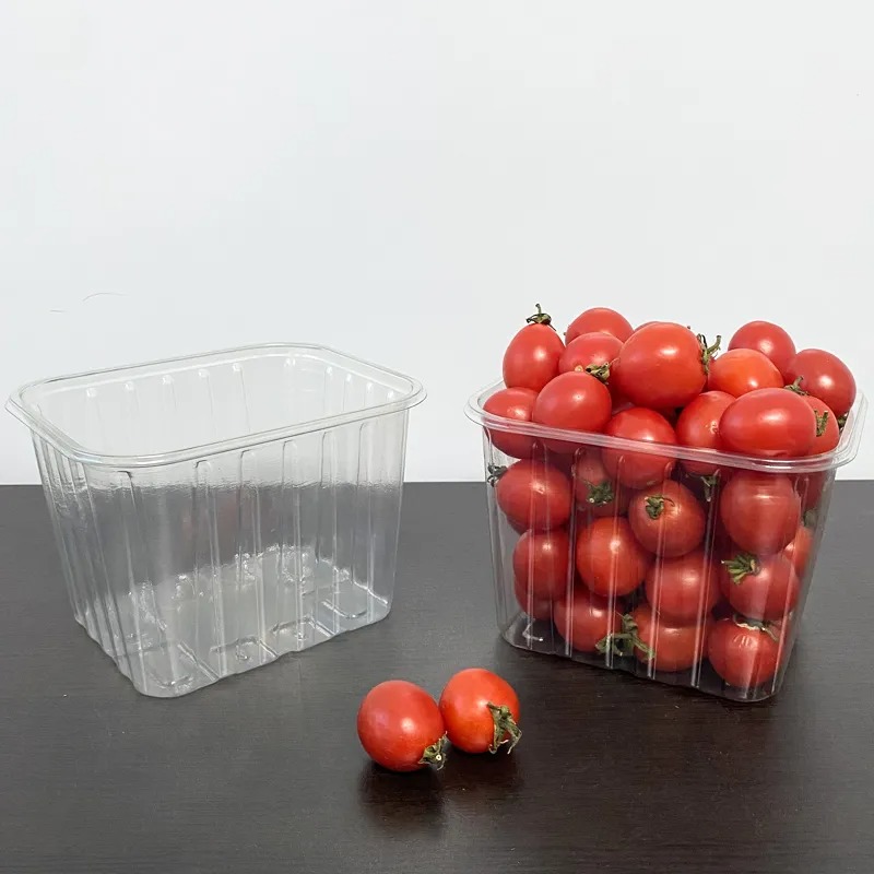 Boosting Freshness and Visual Appeal: A Professional Guide to Selecting the Right Disposable Fruit Tray